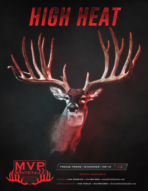High Heat Ad - MVP Whitetails - A Tx Whitetail Deer Breeder