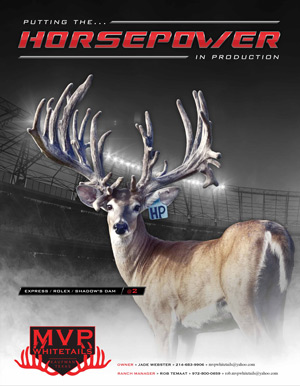 Horsepower Ad - MVP Whitetails - A Texas Trophy Deer Breeder