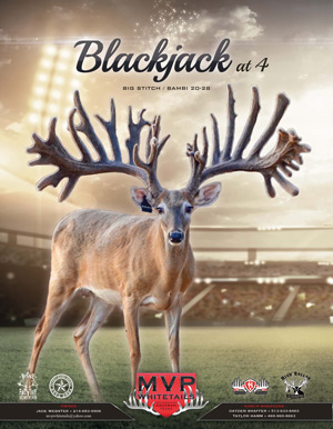 Blackjack Ad - MVP Whitetails - A Tx Whitetail Deer Breeder