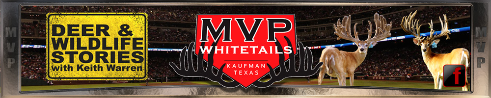 MVP WHITETAILS