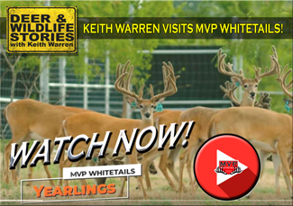Watch MVP visit with Keith Warren at the TX Whitetail Ranch